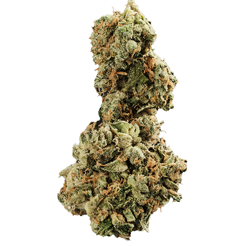 Bild Cannabisblüte 420 Evolution 30/1 CA GMO Cookies