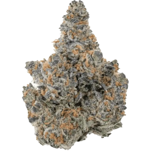 Bild Cannabisblüte Weeco 27/1 KL King Louis Cali Sunset