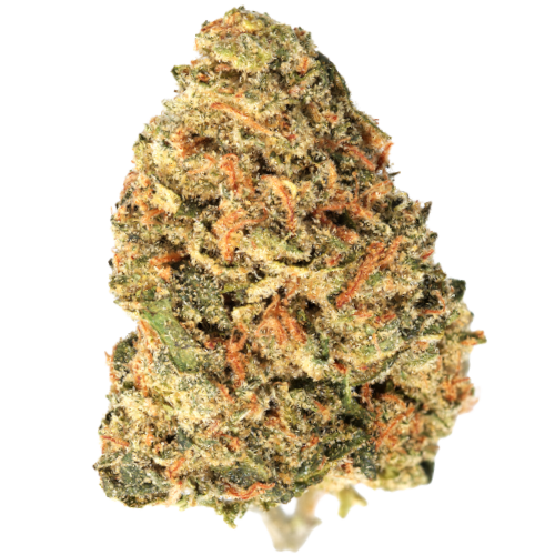Bild Cannabisblüte Cannabis Flos 25/1 CSF Carnez Citric