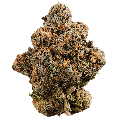 Bild Cannabisblüte 420 Compound 27/1 GAP Gastro Pop