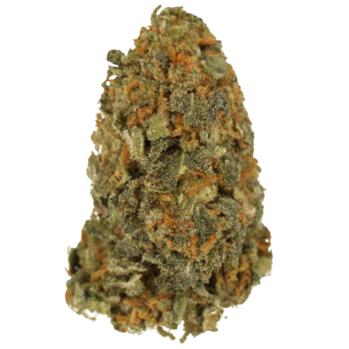 Bild Cannabisblüte Cannamedical CM 24/1 BRY Strawberry OG