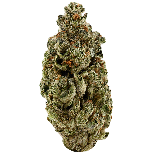 Bild Cannabisblüte Demecan SC Low Drop Vanilla Ice