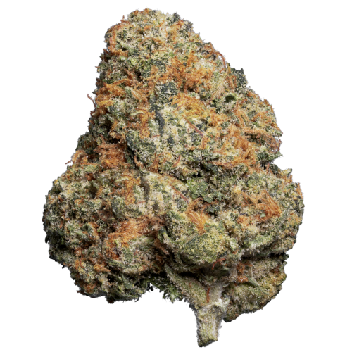 Bild Cannabisblüte enua 22/1 JFG CA Jet Fuel Gelato