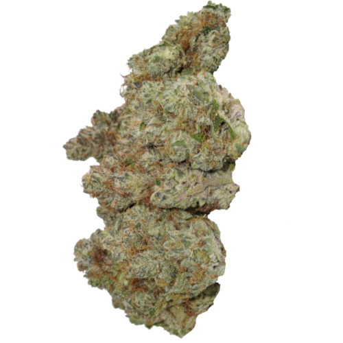 Bild Cannabisblüte avaay Signature 29/1 OGC Ocean Grown Cookies