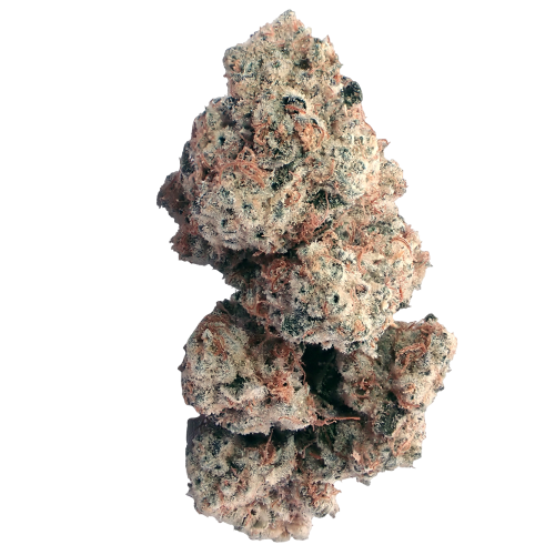 Bild Cannabisblüte Demecan CRAFT Walkie Talkie 31:01 Sugar Cake