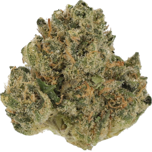 Bild Cannabisblüte Cannamedical Indica Classic DK 20/1 Cookies Kerosene Punch