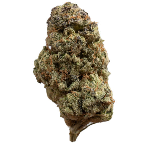 Bild Cannabisblüte aleph silver 23/1 Purple Mac