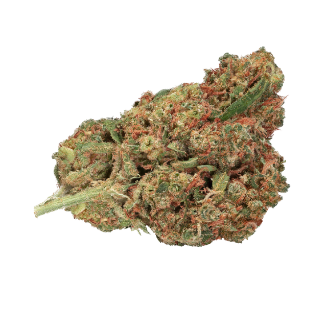 Bild Cannabisblüte Bedrocan Cannabis Flos 22/1 Afina