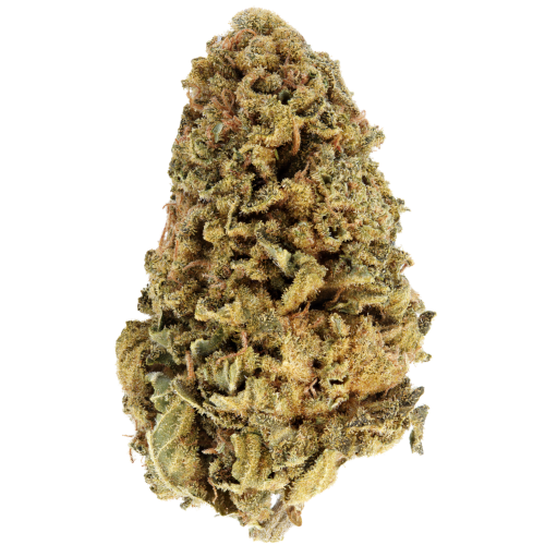Bild Cannabisblüte Cannabis flos 18/1 LS Ku. Durban Sky