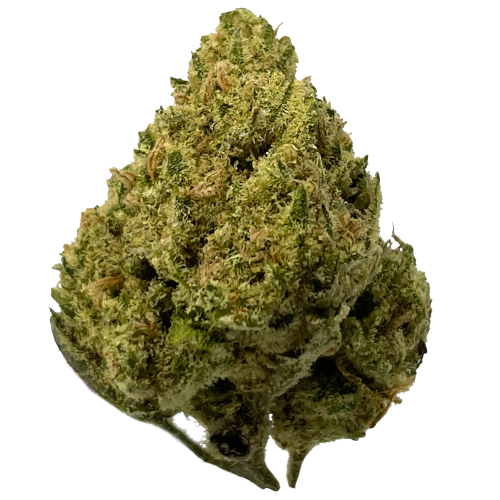 Bild Cannabisblüte avaay 19/1 TNG Tangie