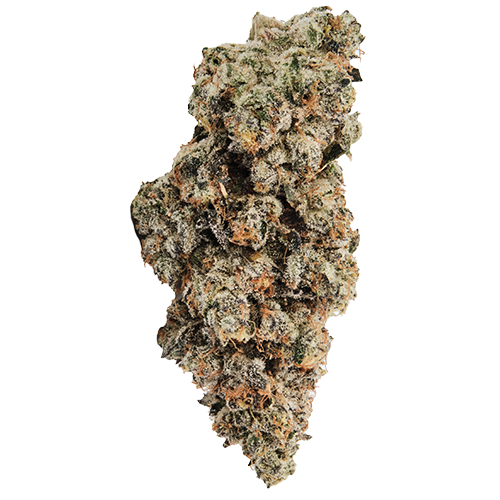 Bild Cannabisblüte 420 Evolution 30/1 CA WES Wedding Singer