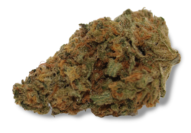 Bild Cannabisblüte Khiron SLH 24/1 Super Lemon Haze