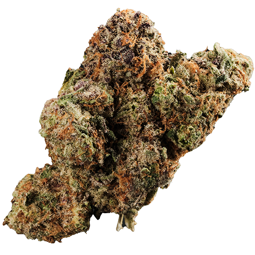 Bild Cannabisblüte 420 Evolution 27/1 CA MMI Miracle Mint