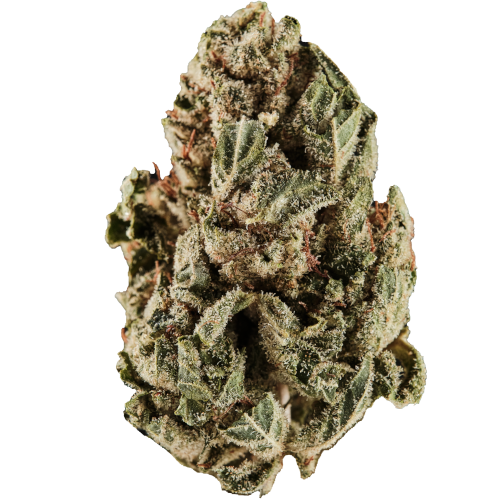 Bild Cannabisblüte 420 Sungrown 22/1 CA Dog Chemdog