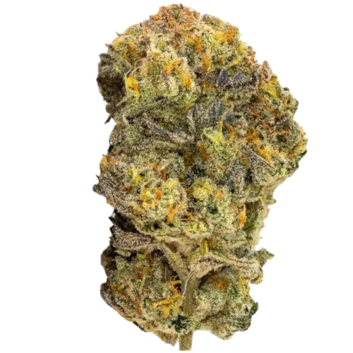 Bild Cannabisblüte Organic Sweetgrass CB 25/1 Crunch Berries