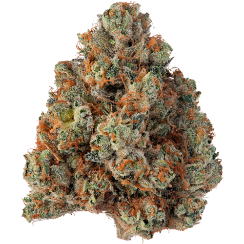 Bild Cannabisblüte avaay Khalifa 32/1 KK Khalifa Kush