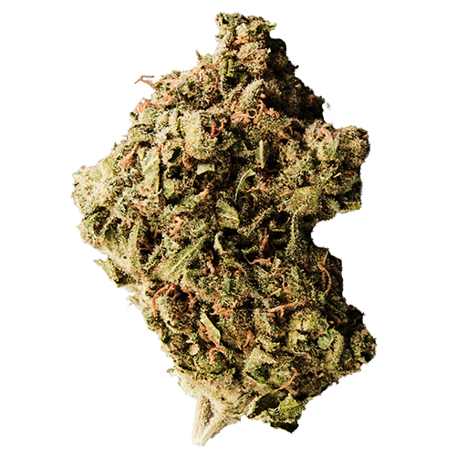 Bild Cannabisblüte 420 Sungrown 22/1 CA ZRP Zour Apple