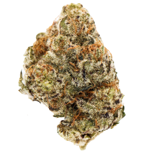 Bild Cannabisblüte Greyscales FJ 26/1 Flapjacks Flap Jacks