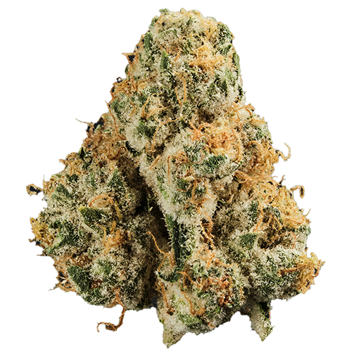 Bild Cannabisblüte 420 Evolution 30/1 CA PCH Peach Chementine