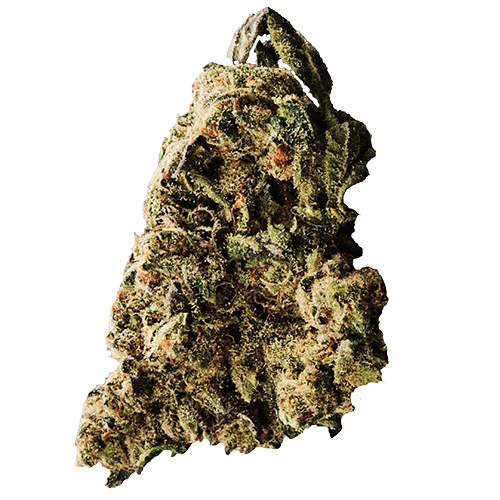 Bild Cannabisblüte Cannamedical CM 24/1 LLY Legendary Larry