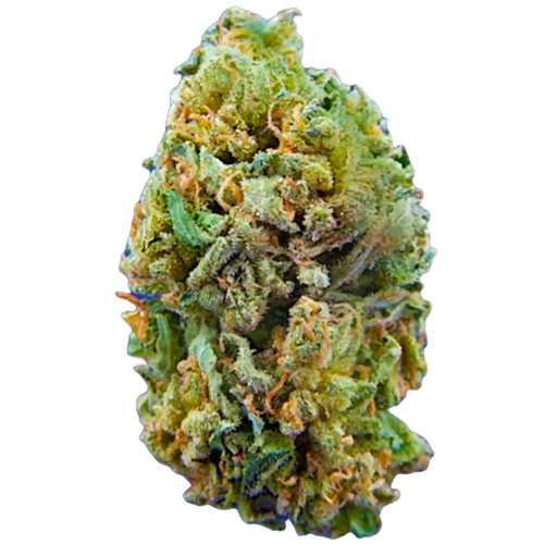 Bild Cannabisblüte aleph water 5/13 Amnesia Balanced