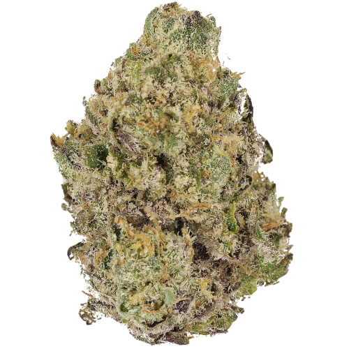 Bild Cannabisblüte Cannamedical Sativa Classic NM Wedding Tree