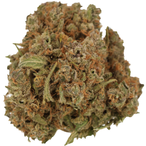 Bild Cannabisblüte Cannamedical Indica Forte DK 22/1 Gelat Skyfloater