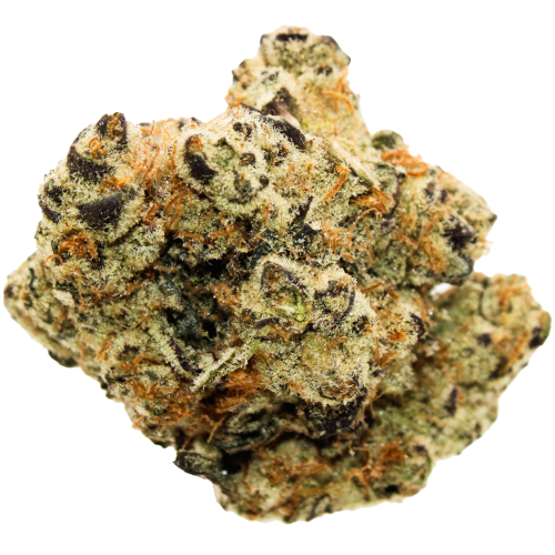 Bild Cannabisblüte Citizen Labs CR 32/1 Cali Rain