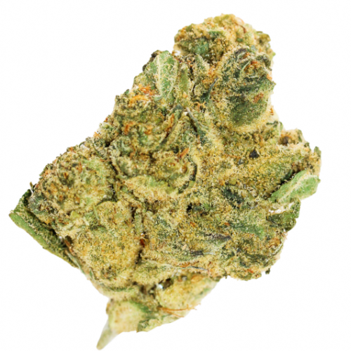 Bild Cannabisblüte LOT 420 LEM PT Lemonatti