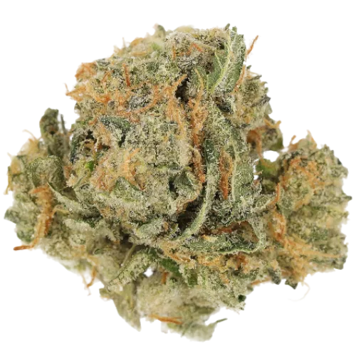 Bild Cannabisblüte Luana 24/1 APE Sour Ape