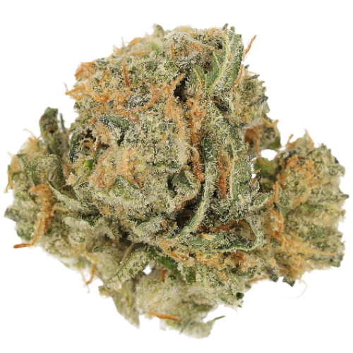 Bild Cannabisblüte Luana 24/1 APE Sour Ape