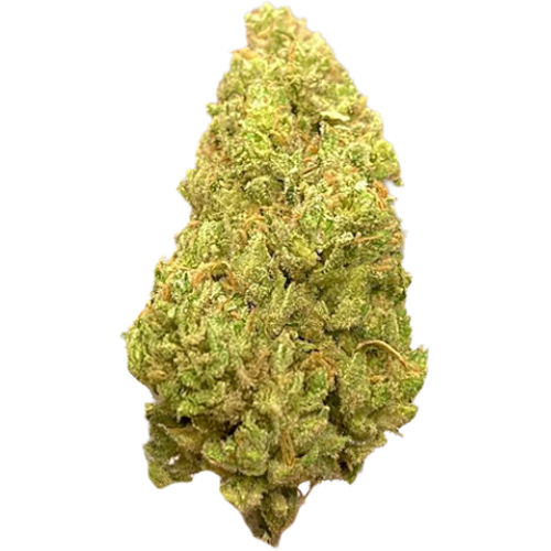 Bild Cannabisblüte aleph fire 26/1 Amnesia Skittlez