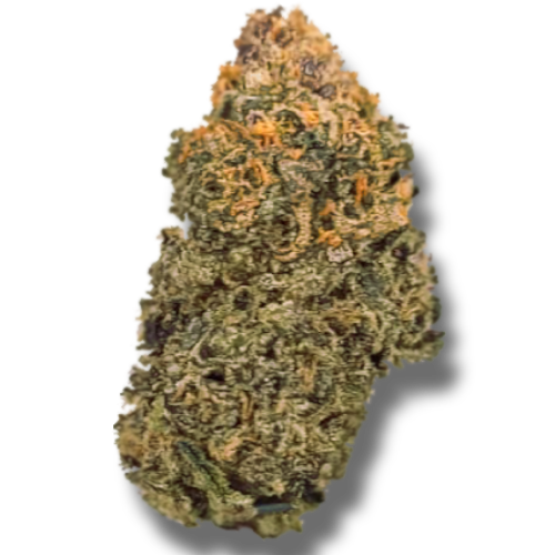 Bild Cannabisblüte Cannovum Natura PMK 26/1 Permanent Marker