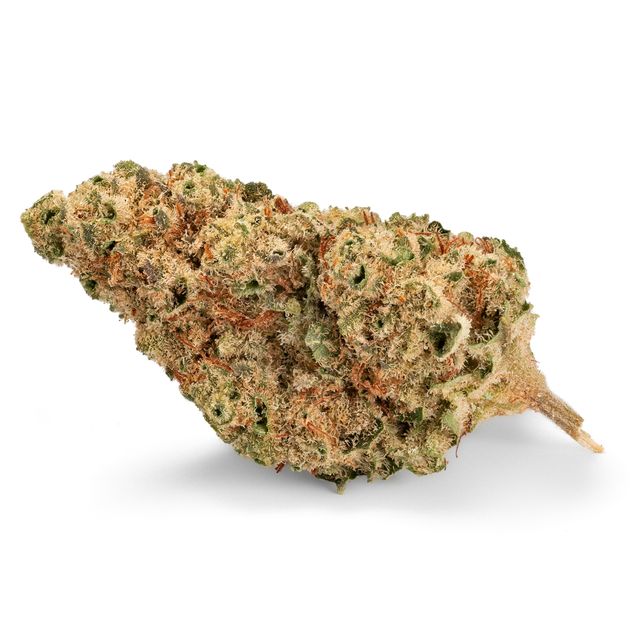 Bild Cannabisblüte Sibanax MCF 20/1 Mac Fem