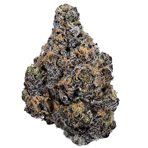 Bild Cannabisblüte enua 22/1 JLSY CA Jealousy