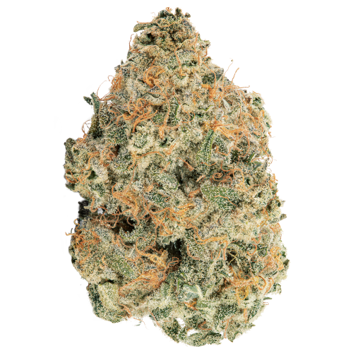 Bild Cannabisblüte avaay 29/1 SCP Sour Cherry Punch