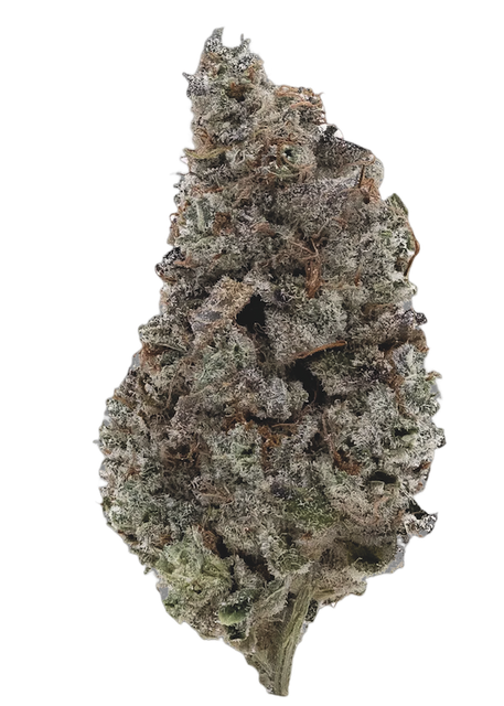 Bild Cannabisblüte Cannamedical Indica Classic NM Sugarbomb Punch