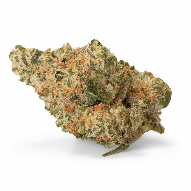 Bild Cannabisblüte 420 Evolution 27/1 CA ICC Ice Cream Cake Kush Mints