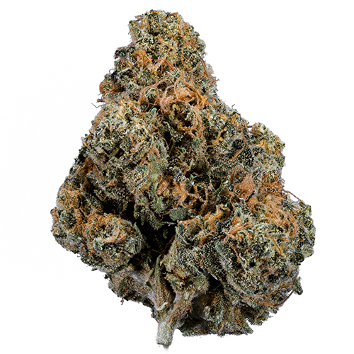 Bild Cannabisblüte enua 25/1 SJ CA Splitter Gelato