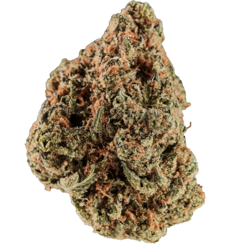 Bild Cannabisblüte Huala 22/1 UK CIN Cinderella Kush