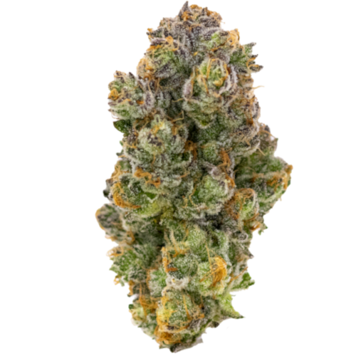 Bild Cannabisblüte aleph red 27/1 Hokuzai