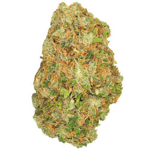 Bild Cannabisblüte Pedanios 22/1 Ghost Train Haze