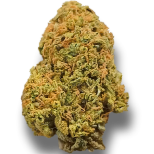 Bild Cannabisblüte Cannovum Natura KHZ 28/1 Karel's Haze