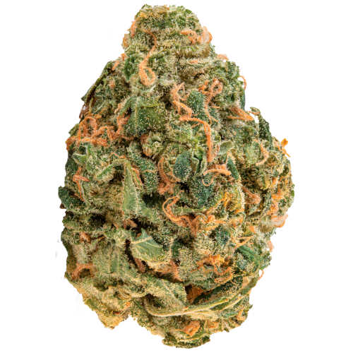 Bild Cannabisblüte ZOIKS 22/1 LK OG Lime Kush