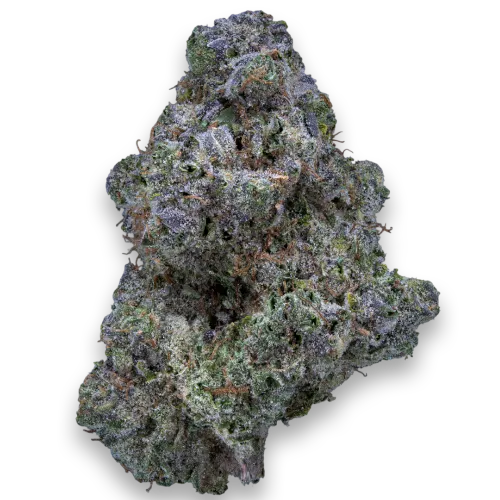 Bild Cannabisblüte 28/1 IUVO KC OJ Zainbow