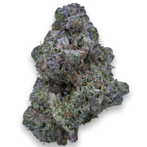 Bild Cannabisblüte 28/1 IUVO KC OJ Zainbow