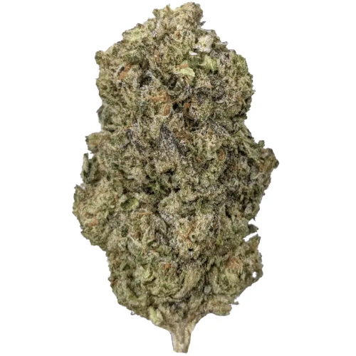 Bild Cannabisblüte Huala 20/1 CA HOM Holy Mints