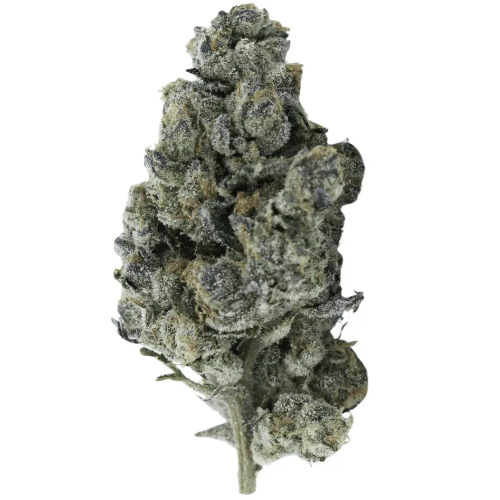 Bild Cannabisblüte Huala 22/1 CA GBG Grape Burger