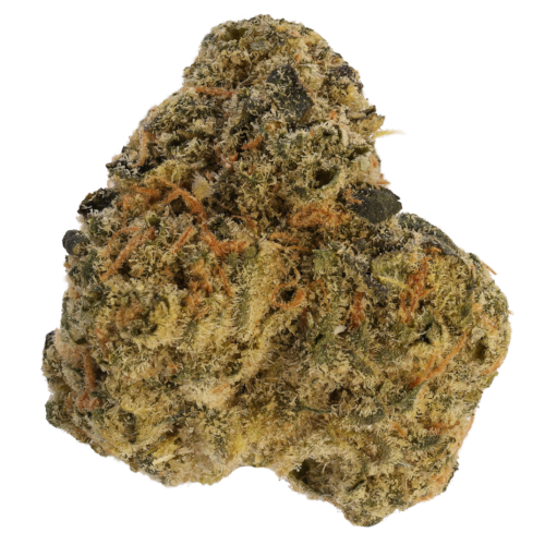 Bild Cannabisblüte LOT 420 - Greyscales HF 27/1 Hawaiian Faanta