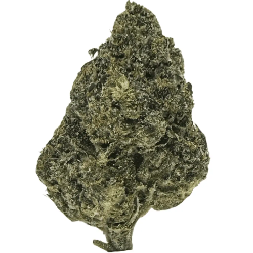 Bild Cannabisblüte Huala 22/1 CA C47